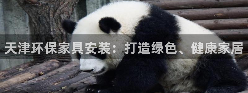 沐鳴2平臺登錄入口：天津環保家具安裝：打造綠色、健康家居